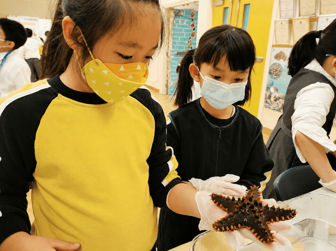 年度STEAM Day活動回顧
